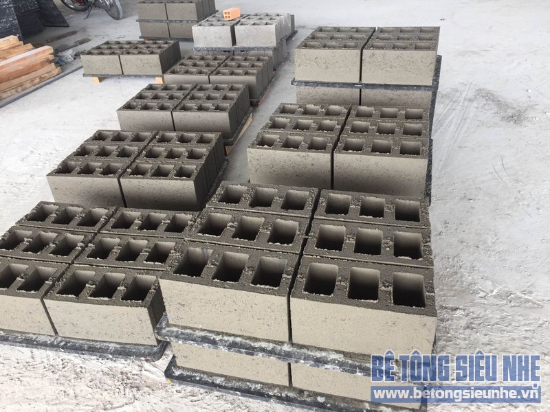 cấu trúc tạo ra sản phẩm gạch bê tông nhẹ đặc trưng là khuôn rỗng cấu trúc tạo ra sản phẩm gạch bê tông nhẹ đặc trưng là khuôn rỗng